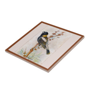 Bobolink Grande Carreaux en céramique pour oiseaux