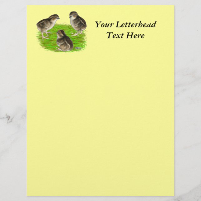 Bobwhite Quail (Devant)