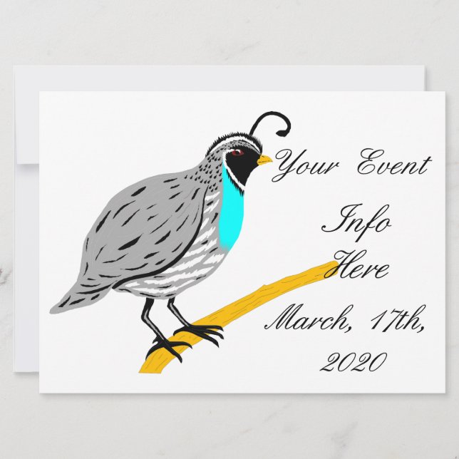 Bobwhite Quail à gorge bleue Thunder_Cove (Devant)