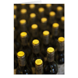 Bodega Marques de Riscal, bouteilles de vin