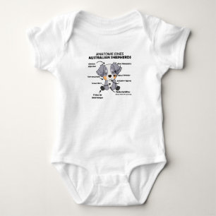 Body Anatomie D'Un Berger Australien Chiens Doux