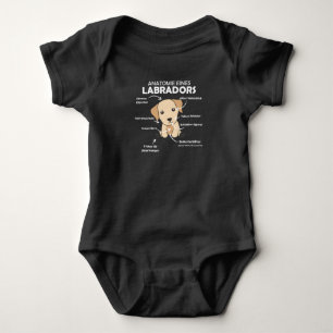 Body Anatomie D'Un Chien Doux Du Labrador Retriever