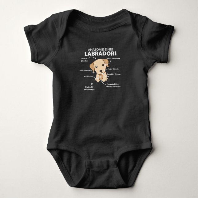 Body Anatomie D'Un Chien Doux Du Labrador Retriever (Devant)