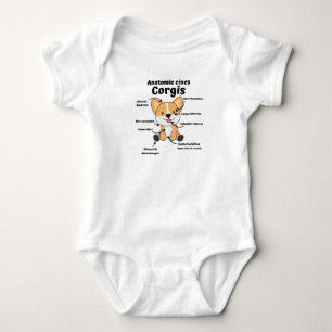 Body Anatomie D'Un Corgi Chiens Mignons Chiens Drôle Ch