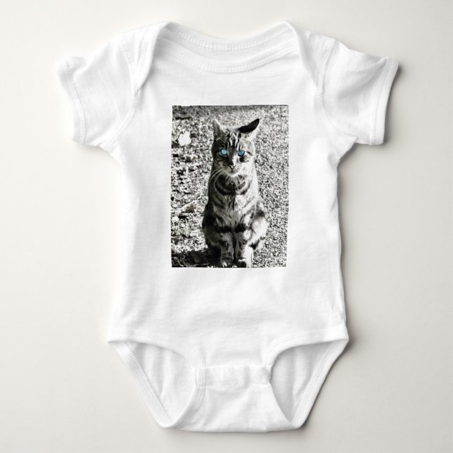 Body Animal familier d'animal de chat (Devant)