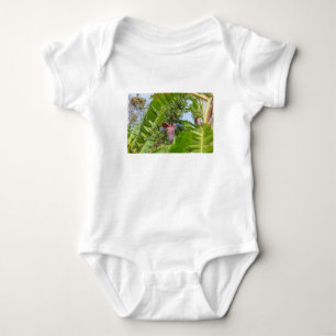 Body Bananeraie à Sok Kwu Wan Lamma Island