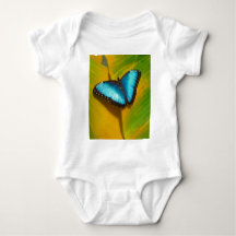 Beau Papillon Irridescent