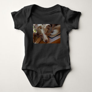Body Berger Américain Miniature Rouge Merle Dormir