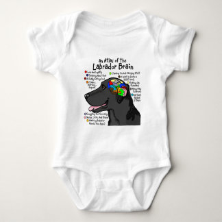 Body Black Labrador Brain Atlas