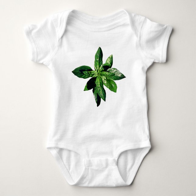Body Bodysuit Basil Baby (Devant)