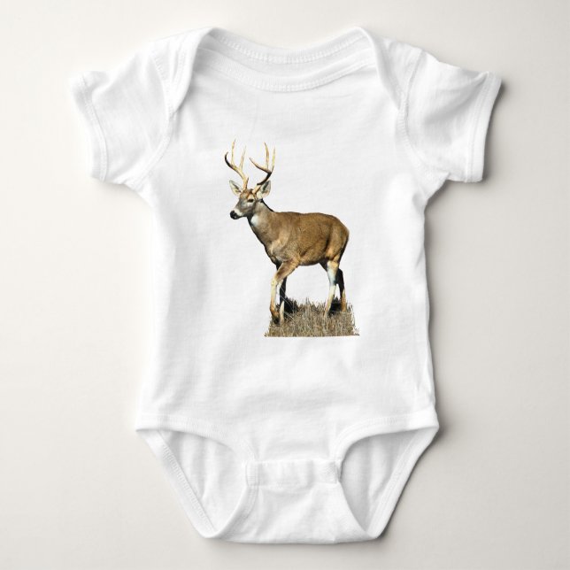 Body Buck White Tailed (Devant)