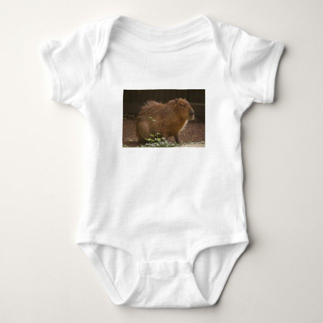 Body Capybara (Devant)