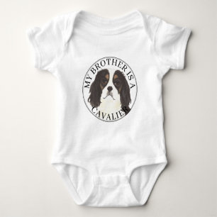 Body Cavalier King Charles Spaniel tricolore Grand Frèr