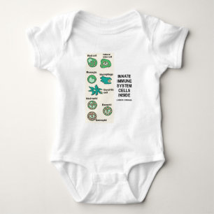 Body Cellules innées de système immunitaire à