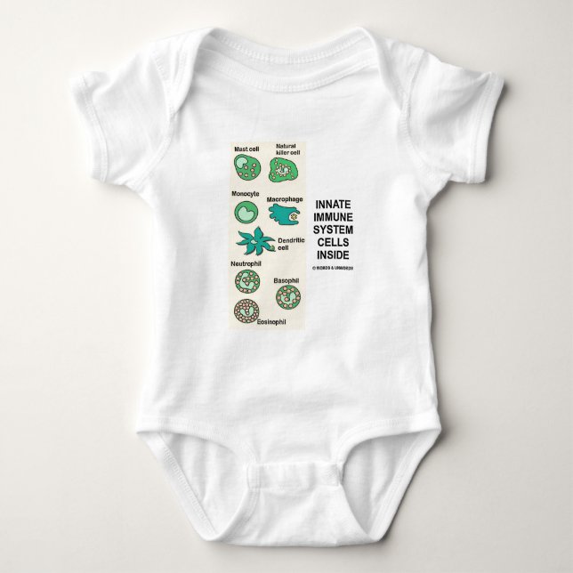 Body Cellules innées de système immunitaire à (Devant)