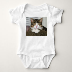Body Chat mignon