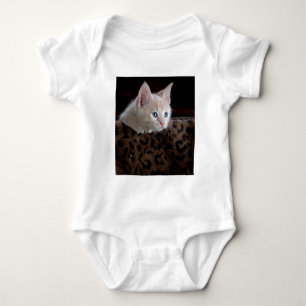 Body Chaton crème aux beaux yeux bleus