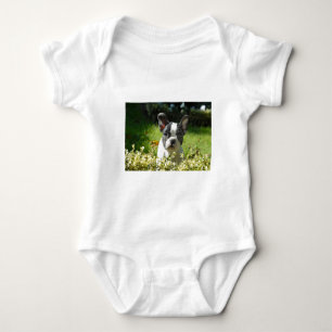 Body Chien Boule de race française noir et blanc