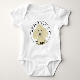 Body Chien Caniche Blond Doré