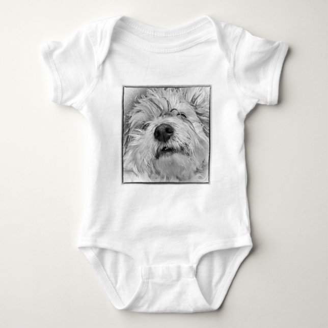 Body Chien Coton de Tulear (Devant)