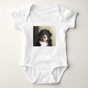 Body Chien de Bernese