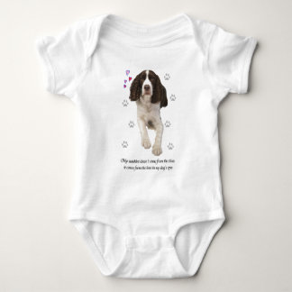 Body Chien d'épagneul de springer anglais