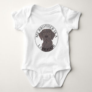 Body Chien Labrador Chocolat