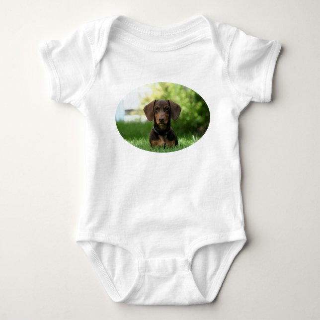 Body Chiot Brown Dachshund (Devant)