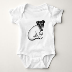 Body Chiot Jack Russell 10 semaines
