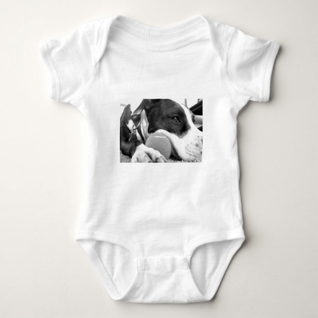 Body chiot pitbull mignon et triste de couleur noir et  (Devant)