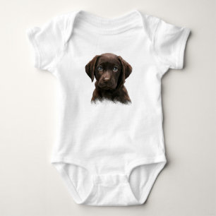 Body Chiots Labrador au Chocolat