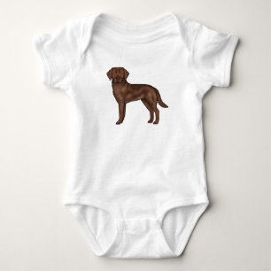 Body Chocolat Labrador Retriever Cartographie Lab Chien