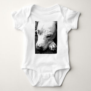 Body cicatrice de harry potter chien pit bull blanc