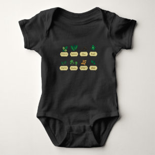 Body Collectionneur d'herbes Oregano Basil Thyme Mint G
