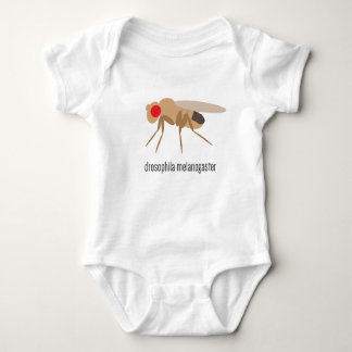 Body Combinaison de bébé de drosophile