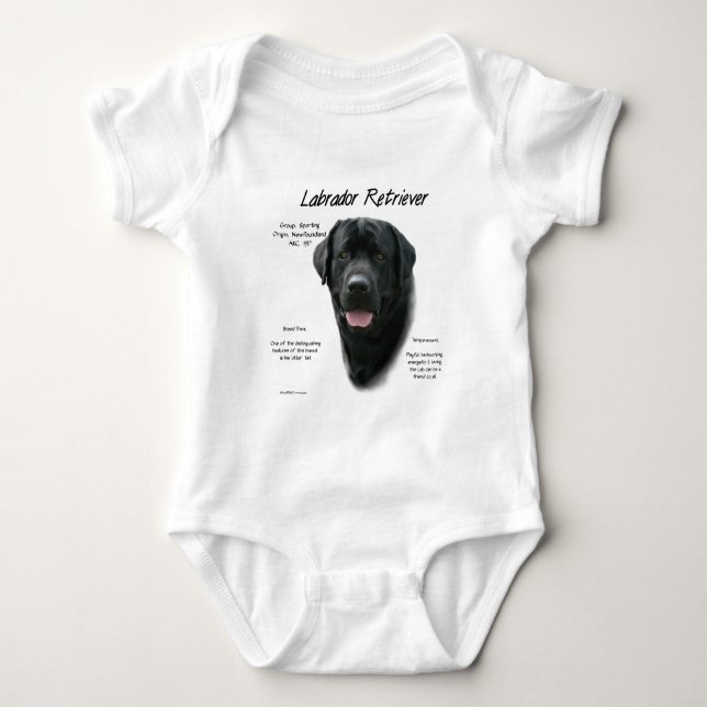 Body Conception de l'historique du Labrador Retriever ( (Devant)