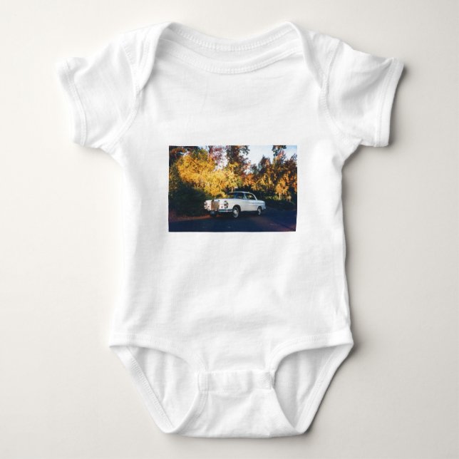 Body Coupé 1965 de Mercedes-Benz 220SEb (Devant)