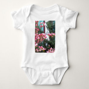 Body Dogwood rose