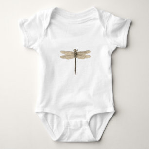 Body Dragonfly Vintage Antique Classic Nature