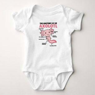 Body Explication Axolotl Anatomie D'Un Axolotl