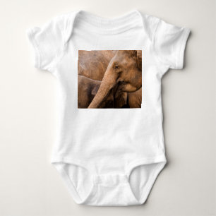 Body Famille des éléphants : Faune majestueuse