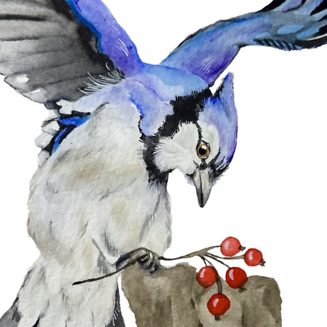 Body Geai bleu oiseau de la forêt à l'aquarelle (Créateur téléchargé)