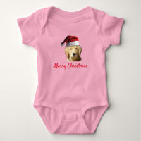 Golden Retrieve avec un Casquette du Père Noël pou