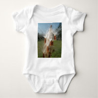 Graines flottantes d'algue Art Imprimer/Graphique