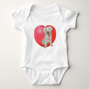 Body Havanese / Westie Mix Saint-Valentin