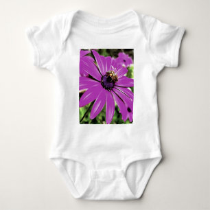 Body Honey Bee Sur Un Daisy Africain Violet