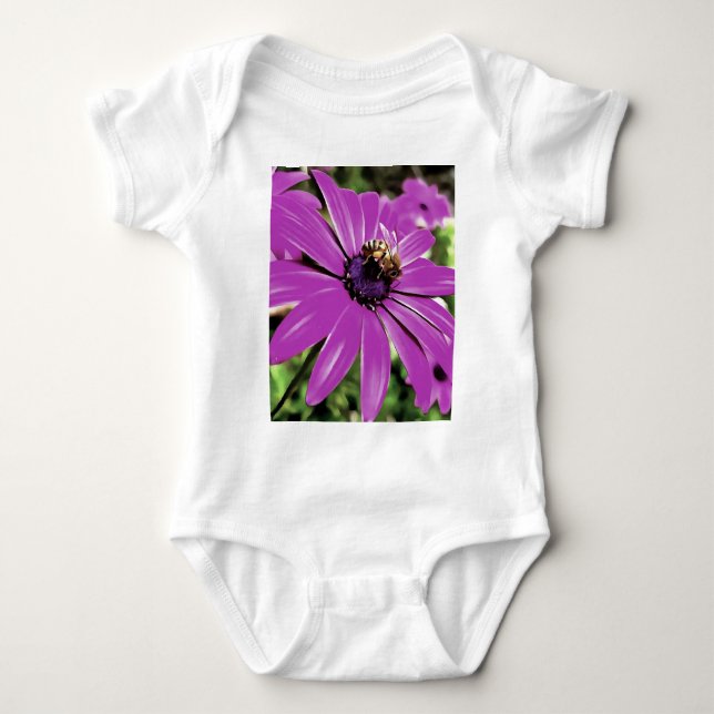 Body Honey Bee Sur Un Daisy Africain Violet (Devant)