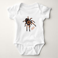 Illustration de Tarantula