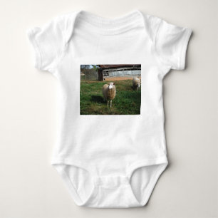 Body Jeune mouton blanc sur la ferme