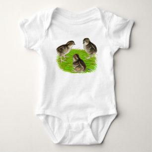 Body Jeunes cailles de Bobwhite